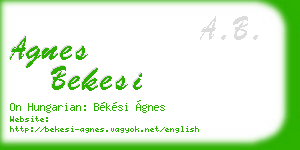 agnes bekesi business card